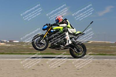 media/Mar-24-2025-2WTD (Mon) [[55b4b08488]]/B Group/1220pm (Wheelie Bump)/
